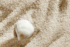 Aesthetic minimal summer background, white seashell on fine sand. Top view sandy soft waves textured pattern, meditation, relaxation composition beige neutral tones monochrome background photo
