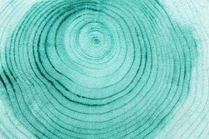 Abstract Wood pattern, view of wooden surface with natural tree rings of juniper blue green color, grain and line patterns, organic textures for nature, woodworking, eco-friendly concepts photo
