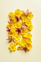 Yellow and red close up flowers on pastel beige background, minimal style aesthetic floral flat lay photo. Beautiful nature still life with wildflowers bellflower and Ranunculus, vertical format photo