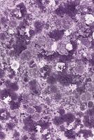 Monochrome nature patterns of colored mosses and lichens, natural texture background, Close-up surface covered with white violet color moss, macro short, top view photo micro plants natural