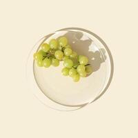 Natural White grapes on glass transparent plate with shadows at sunlight, minimal style summer fruit still life photo. Green berries of grape on beige background, healthy vegan sweet food photo