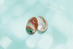 Set of abalone seashells floating on clear turquoise water with sun glare and waves. Shells of natural iridescent and rough textures. Minimal style pattern sea and ocean life background, copyspace photo