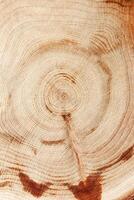 Wooden annual rings texture natural vertical background, round shape of wood, nature pattern. Cross-section with knots of juniper. Wooden aesthetic texture, environment design, natural surface photo