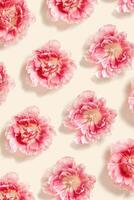 Peony tulips flower spring holiday flowery aesthetic repeat pattern, minimal botanical flat lay, floral top view photo with gradient pink red blooming flowers on beige color nature design