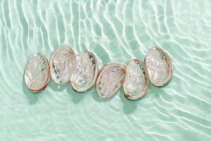 Colored shells floating on waves green mint blue sea water with sun flare. Natural textured Seashells of natural bright and shimmering at sunlight, Minimal aesthetic still life photo, summer vibes photo