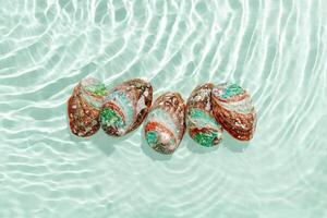Abalone seashells floating on clear turquoise water with sun glare and waves. Shells of natural iridescent and rough textures. Minimal style top view pattern sea ocean life background photo