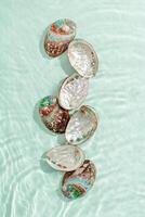 Seashells floating on clear turquoise water with sun glare and waves. Shells of natural iridescent and rough textures. Minimal style top view pattern sea and ocean life background photo