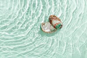Bright shells floating on waves green blue sea water with sun flare. Natural textured Seashells of natural bright and shimmering at sunlight, Minimal aesthetic still life photo, summer vibes photo