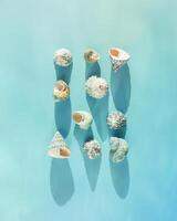 Top view summer pattern with shells at sunlight, seashell, conch on blue mint colored fon, stylish still life summer sea theme, abstract nature flat lay, flare from sun, gradient color background photo
