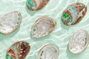 Colored pearl shells floating on waves transparent sea water with sun flare. Natural texture Seashells of natural bright and shimmering at sunlight, Minimal aesthetic summer pattern, soft vivid color photo