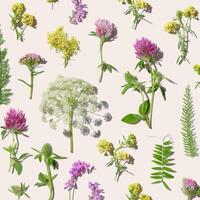 Natural summer florals minimal trend pattern from wild field flowers, beautiful blooms at sunlight on pastel beige background. Summer aesthetic botanical still life, nature design, top view photo