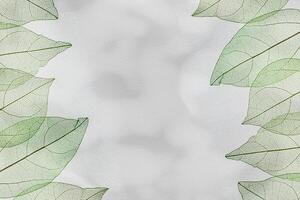Beautiful green leaves, vein leaf textural foliage, organic design background with natural light casts shadows above gray color surface. Aesthetic nature macro trends, minimal seasonal photo