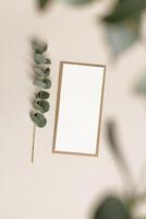 Blank paper card mock up, craft envelope, eucalyptus plant on beige table. White empty letter or invitation, sunlight, beautiful soft shadow. Vertical lifestyle photo. Flat lay copyspace photo