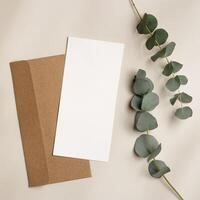 Blank paper card mock up and craft envelope, eucalyptus plant on beige table. White empty letter or invitation, sunlight, beautiful soft shadow. Minimal lifestyle photo. Flat lay, top view, copy space photo