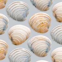 Minimal style pattern seashells ivory blue colored on pale blue background. Natural Shells of mollusk, summer nautical life style, beauty nature, organic shapes, repeat composition, pastel color photo