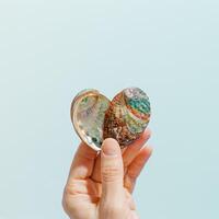 Shiny Shells of abalone as heart in woman hand, light blue background, close up seashell with pearlescent iridescent surface, colored clamshell Haliotis, sea oceanic nature love concept, card photo