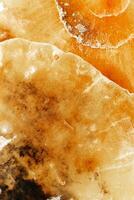 Abstract texture of marine clam shells, natural patterns and warm orange-yellow color organic textured background. Natural details and soft gradients, natural aesthetics and organicity, minimal photo