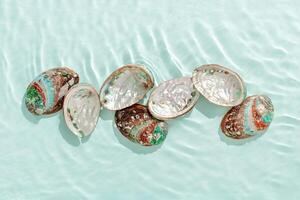 Colored shells floating on waves green blue sea water with sun flare. Natural textured Seashells of natural bright and shimmering at sunlight, Minimal aesthetic still life photo, summer vibes, photo