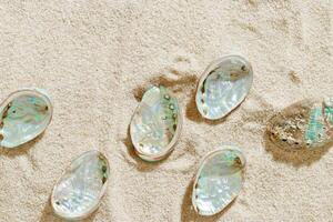 Aesthetic minimal summer sea holiday concept, shiny pearlescent seashells on fine sand. Top view colorful abalone shells on sandy textured background, sea, blue green beige earthy tones, copyspace photo