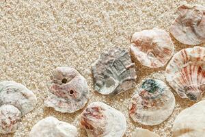 Minimal aesthetic seashells pattern on beige sand, natural sea oceanic and summer textured background, summer relaxation, top view photo with delicate pastel colored shell, beach wallpaper.