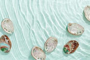 Colored closeup shells floating on waves green blue sea water at sunlight. Beauty nature textured Seashells, marine life, nautical style, Minimal summer aesthetic, beach lifestyle, pastel color. photo