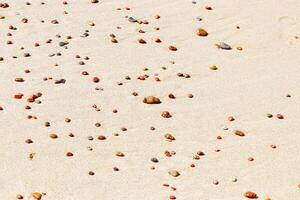 Natural stones amber yellow colored on beige colored sand. Aesthetic minimal nature scene with pebble stones on fine sandy background. Summer vacation or relaxation concept, selective focus photo
