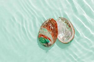 Colored shells floating on waves green blue sea water with sun flare. Natural textured Seashells of natural bright and shimmering at sunlight, Minimal aesthetic still life photo, summer vibes. photo