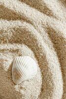 Aesthetic minimal summer backdrop, white seashell on fine sand. Top view sandy soft waves textured pattern, meditation, relaxation composition beige neutral tones monochrome background photo