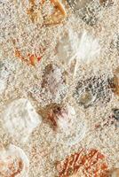 Minimal aesthetic seashells pattern on beige sand, natural sea oceanic and summer textured background, summer relaxation, top view photo with delicate pastel colored shell, rest beach wallpaper.