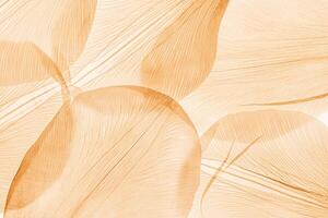 Nature pattern of dry petals, transparent leaves with natural texture as natural background or wallpaper for screen. Macro texture, skeleton flower petal. Monochrome aesthetic beauty of nature photo