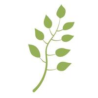 Cute twig isolated on white background vector