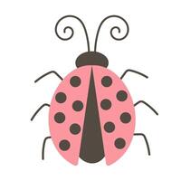 Cute ladybug character isolated on white background. vector