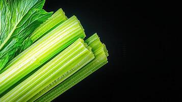 Fresh Green Celery Stalks with Leaves Close Up Macro Photography of Vibrant Vegetables photo