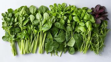 Fresh Green Leafy Vegetables Assortment Spinach Kale Lettuce Herbs Microgreens photo