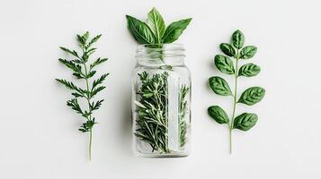 Fresh Herbs in Glass Jar with Green Leaves Flatlay Photography of Rosemary Basil Greenery photo
