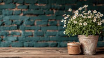 Rustic Still Life Daisies in Pot Jar of Paste on Wooden Table Against Teal Brick Wall photo