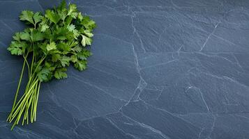 Fresh Cilantro Bunch on Dark Grey Slate Background Culinary Herb Food Photography photo