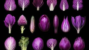 Vibrant Purple Vegetables Collection Close up Studio Shots of Unique Cabbage Radish and Zucchini Varieties photo