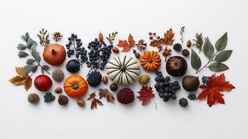 Autumn Harvest Colorful Pumpkins Grapes and Fall Leaves Thanksgiving Decor Flat Lay photo