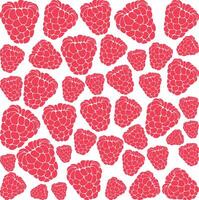 Raspberry Fruit Color Background vector