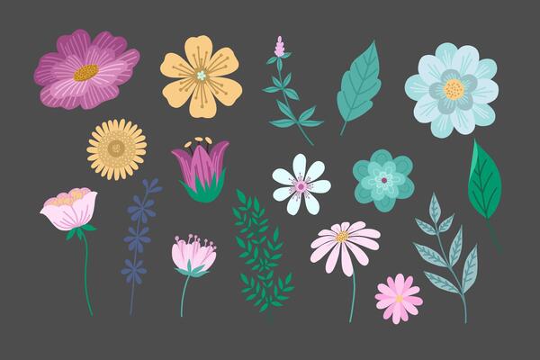 Collection of colorful flowers, leaves and herbs