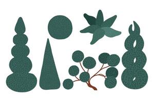 Topiary Art. Set of sheared isolated conifers on white background. vector