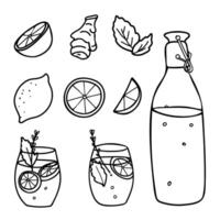 Lemonade Set. Bottle, Glasses, Fruit and Cut Citrus Slices, Ginger root. Summer refreshment beverage with Lemon and mint. Hand drawn illustration in Doodle style isolated on a background. For vector