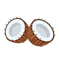 Coconuts icon isolated on white vector