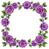 clip art purple rose border with square frame is isolated on transparent background png