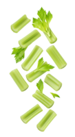 fresh green celery set . celery vegetable top view . celery flat lay isolated. Fresh green celery stalks isolated on a transparent background. Organic crunchy celery vegetable png