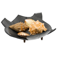 3d render seashells in bowl with transparent background png