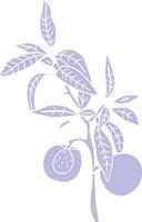 Illustration of Citrus Branch with Leaves and Fruits vector