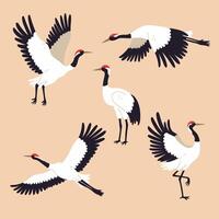 Set of flying, standing and dancing red-crowned cranes. graphics. vector