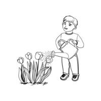 Outline Illustration of Cheerful Boy Waters Tulips From a Watering Can Isolated on White Background vector